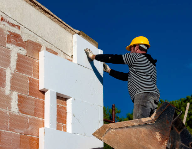 Best Insulation Inspection Services  in Norton, VA