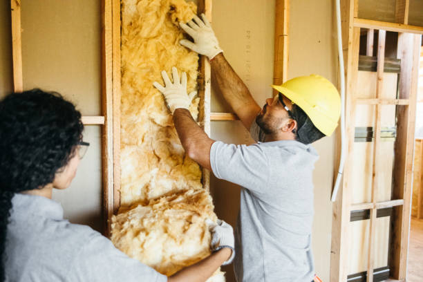 Best Insulation Inspection Services  in Norton, VA