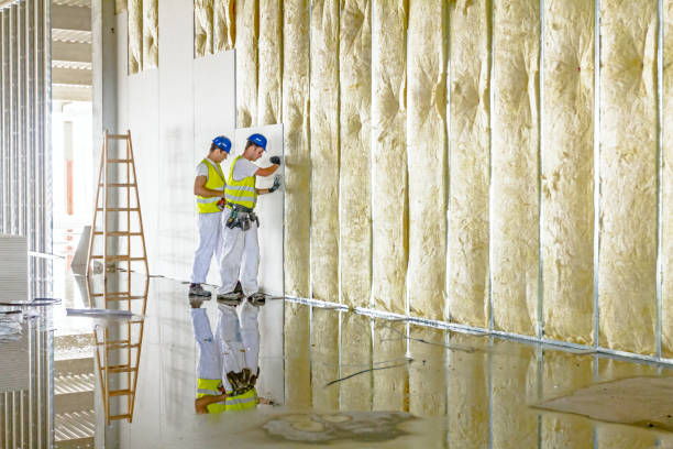Best Insulation Replacement Services  in Norton, VA